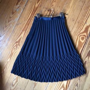 Pleated Anthropologie Skirt